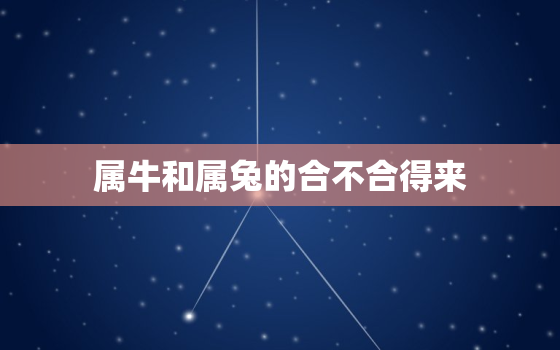 属牛和属兔的合不合得来(星座配对分析)