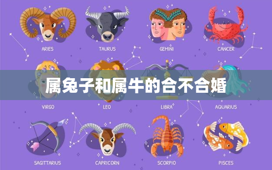 属兔子和属牛的合不合婚(星座配对分析)