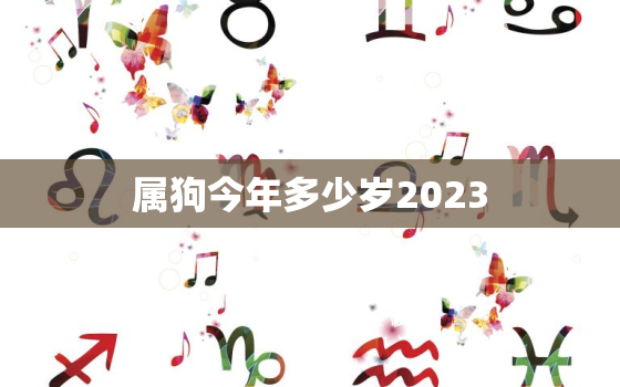 属狗今年多少岁2023(狗年人的年龄计算方法及注意事项)