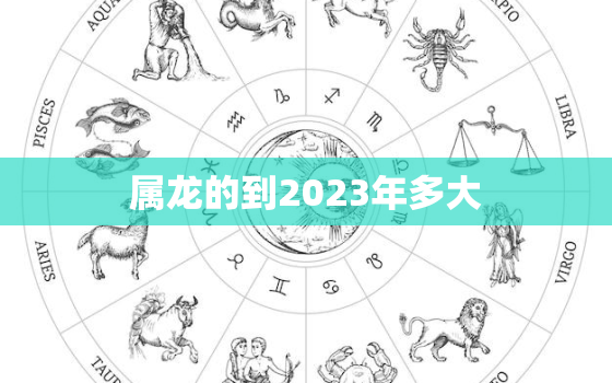 属龙的到2023年多大(探究龙年出生的人如何迎接2023)