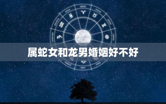 属蛇女和龙男婚姻好不好(解析星座配对大揭秘)