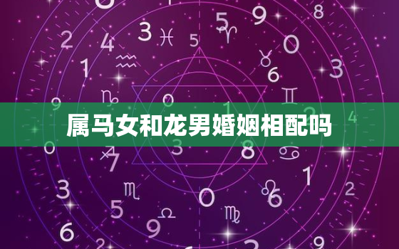 属马女和龙男婚姻相配吗(解析星座配对大揭秘)