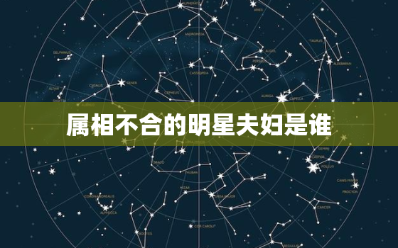 属相不合的明星夫妇是谁(揭秘娱乐圈最不合拍的星座组合)