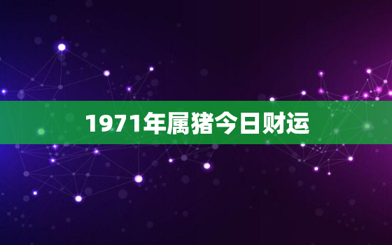 1971年属猪今日财运(财运亨通财源滚滚来)