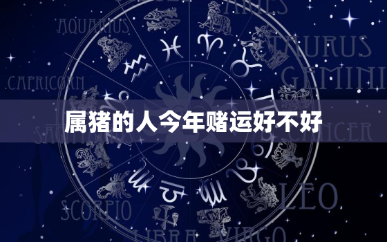 属猪的人今年赌运好不好(2023年猪年运势大揭秘)