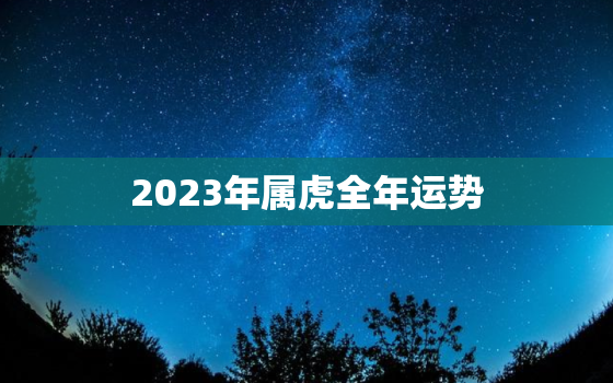 2023年属虎全年运势(好运连连财源滚滚)