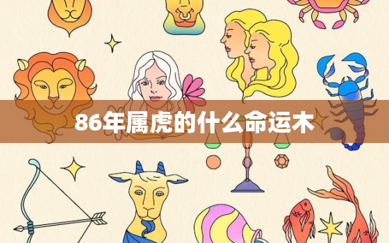 86年属虎的什么命运木(解析命运多变贵人相助)