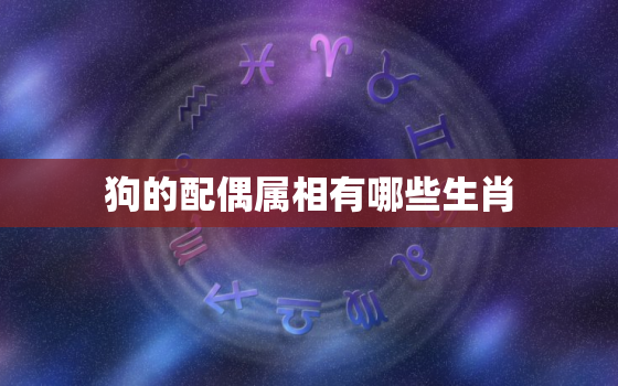 狗的配偶属相有哪些生肖(解密狗狗的最佳配偶属相大揭秘)