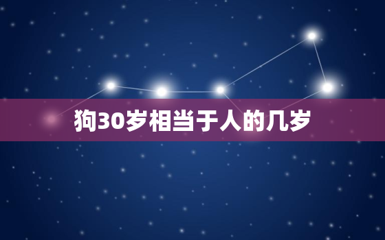 狗30岁相当于人的几岁(揭秘狗狗的年龄计算法)