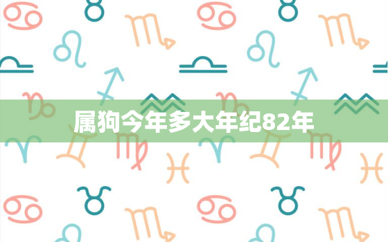 属狗今年多大年纪82年(狗年出生的人今年几岁)