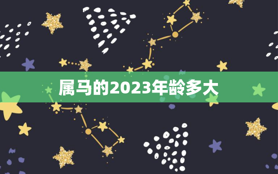 属马的2023年龄多大(马儿迎来本命年你知道自己的年龄吗)