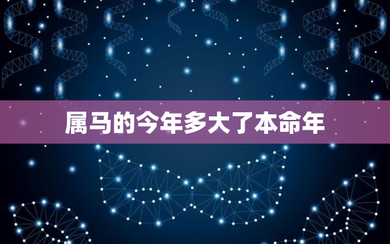 属马的今年多大了本命年(如何化解本命年的厄运)