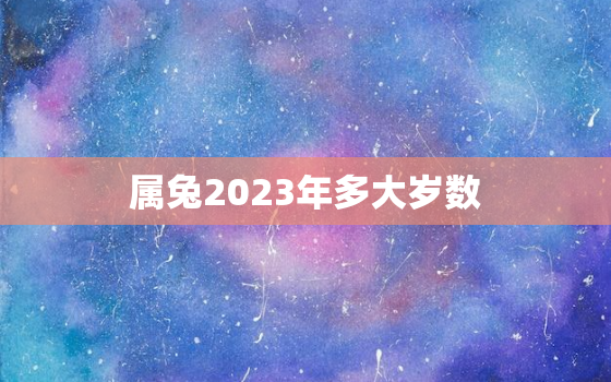 属兔2023年多大岁数(兔年出生的人2023年将迎来几岁生日)