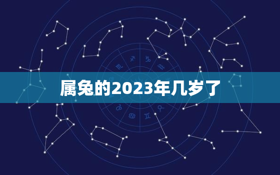 属兔的2023年几岁了(兔年人的年龄计算方法详解)