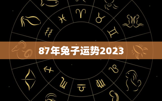 87年兔子运势2023(兔子们迎来事业新起点)