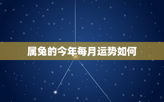 属兔的今年每月运势如何(2023年兔子座每月星座运势预测)