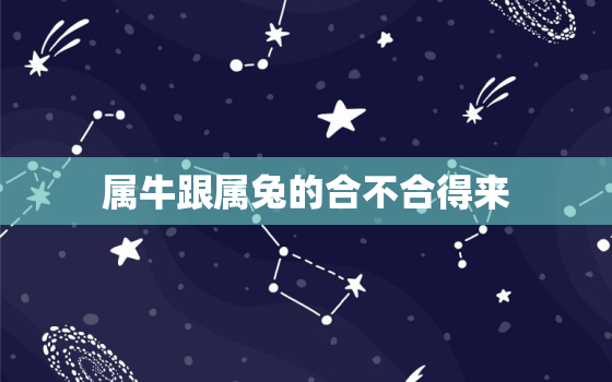 属牛跟属兔的合不合得来(星座配对分析)