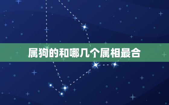 属狗的和哪几个属相最合(最佳配对大揭秘)