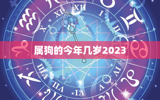 属狗的今年几岁2023(狗年迎来新挑战如何应对未来三年的变化)