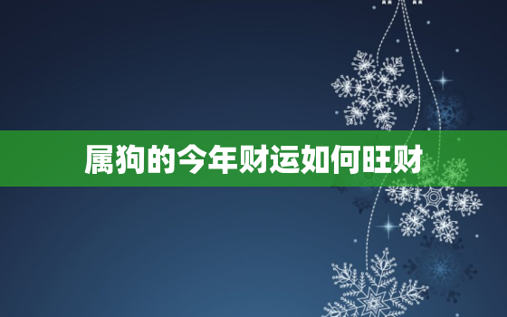 属狗的今年财运如何旺财(提高财运的小技巧)