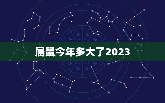 属鼠今年多大了2023(你的鼠年运势如何)