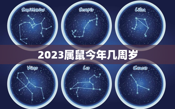 2023属鼠今年几周岁(如何计算属鼠人的年龄)