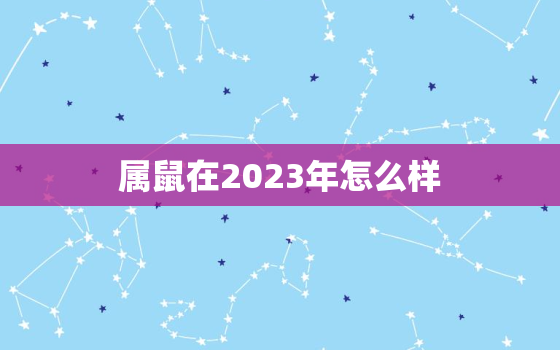 属鼠在2023年怎么样(2023年属鼠人的运势如何)