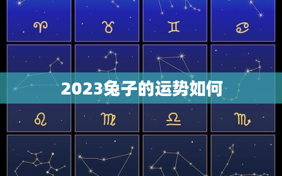 2023兔子的运势如何(兔年大吉财运亨通)