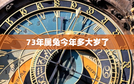 73年属兔今年多大岁了(如何算出属兔人的年龄)