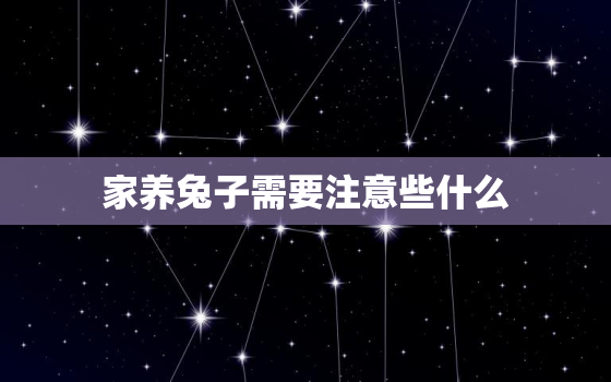 家养兔子需要注意些什么(养兔初学者必读)