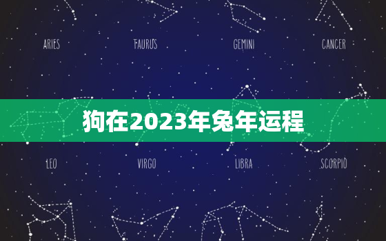 狗在2023年兔年运程(幸运之星闪耀财运亨通)