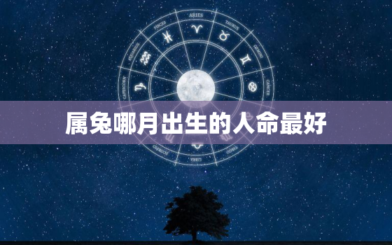 属兔哪月出生的人命最好(揭秘兔年吉祥月份)