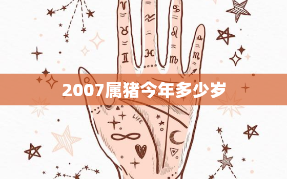 2007属猪今年多少岁(猪年生肖运势大揭秘)