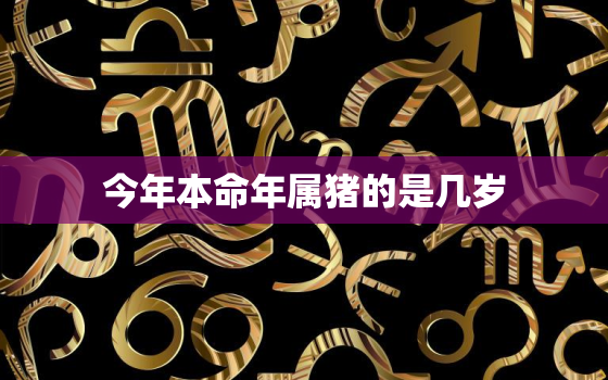 今年本命年属猪的是几岁(猪年生肖属相年龄计算方法解析)