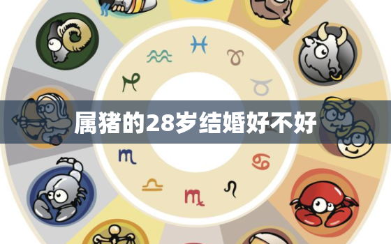 属猪的28岁结婚好不好(探讨适婚年龄与婚姻幸福感)