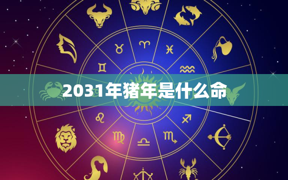 2031年猪年是什么命(猪年运势大揭秘)