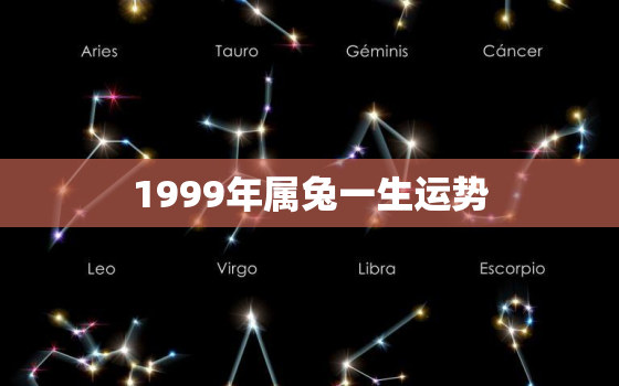 1999年属兔一生运势(未来可期财运亨通)