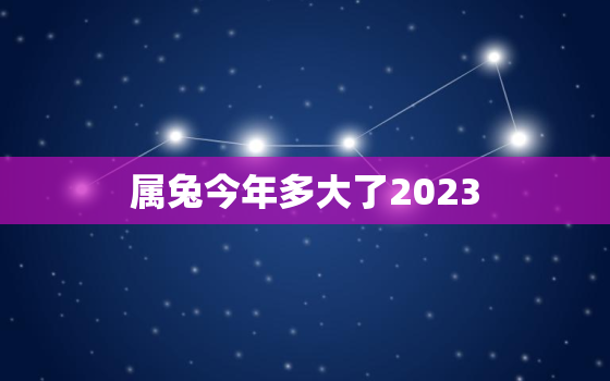 属兔今年多大了2023(如何预测属兔人的命运)