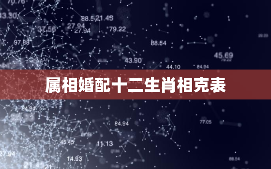 属相婚配十二生肖相克表(如何选择最佳婚姻伴侣)