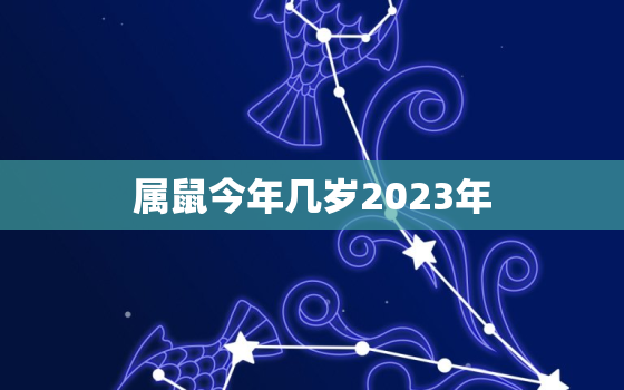 属鼠今年几岁2023年(你的鼠年运势如何)