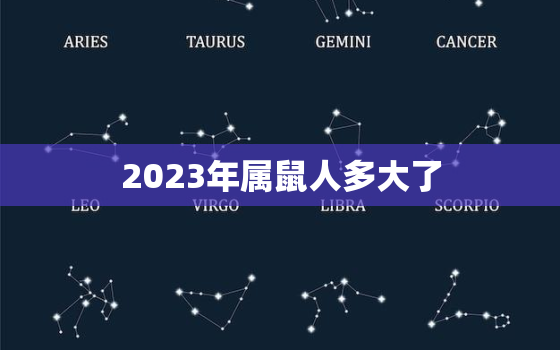 2023年属鼠人多大了(探究属鼠人的年龄与命运)