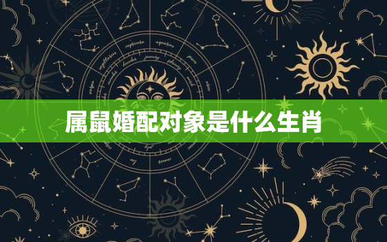 属鼠婚配对象是什么生肖(最佳配对星座揭秘)