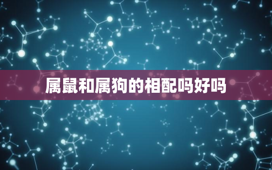 属鼠和属狗的相配吗好吗(解密属相配对)