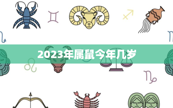 2023年属鼠今年几岁(如何计算属鼠人的年龄)