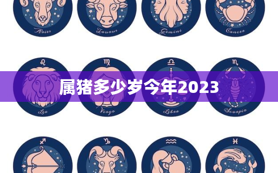 属猪多少岁今年2023(猪年生肖运势大揭秘)