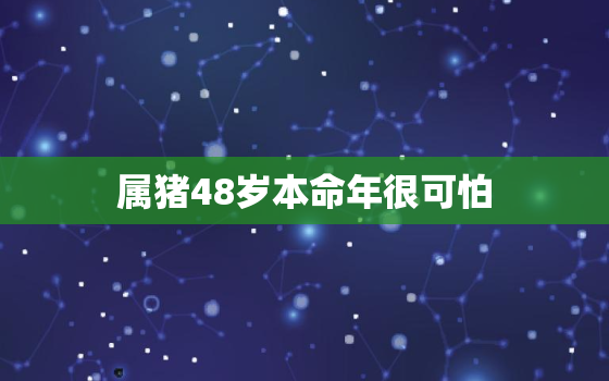 属猪48岁本命年很可怕(如何化解本命年的厄运)