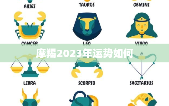 摩羯2023年运势如何(事业财运稳步上升感情生活需谨慎)