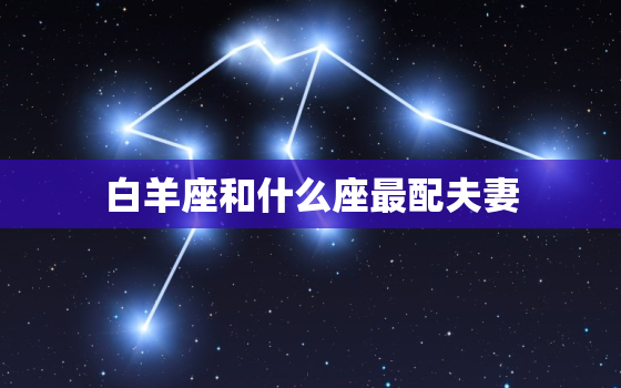 白羊座和什么座最配夫妻(完美星座组合揭秘)