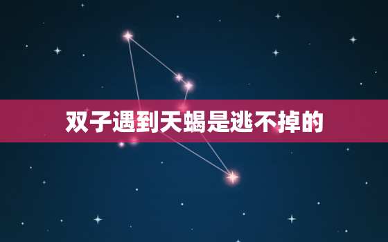 双子遇到天蝎是逃不掉的(星座配对大揭秘)