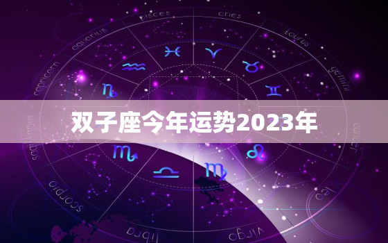 双子座今年运势2023年(星象大变双子座运势逆袭)